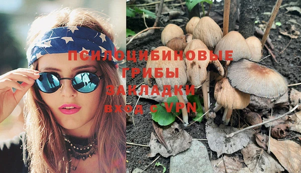молекула духа Сосновый Бор