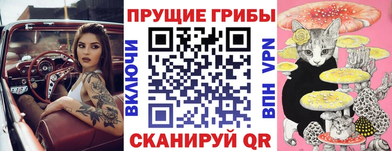 Псилоцибиновые грибы прущие грибы закладка Бугуруслан